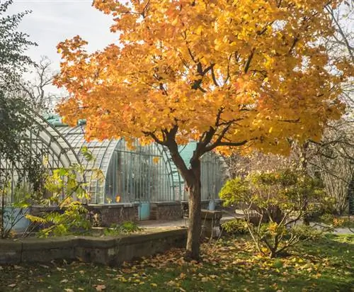 Serre in de herfst