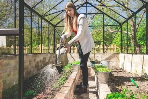 Paghahanda ng greenhouse