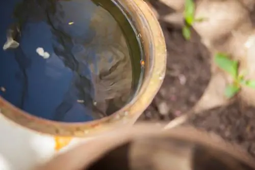 keep fish in rain barrel