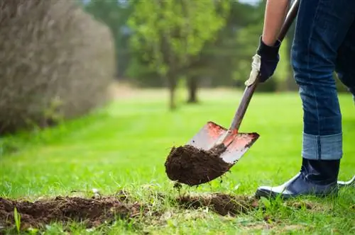 Realizzare un giardino roccioso: preparare la giusta superficie