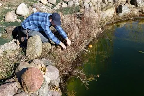 Netejar l'estany del jardí