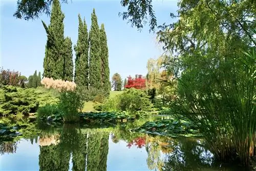 Primăvara la iazul din grădină