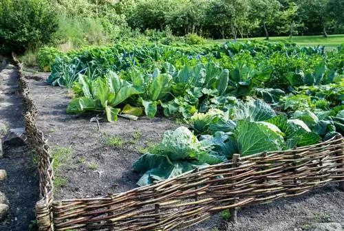 This is how you can fence in the vegetable garden