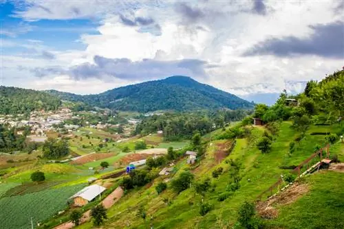 পাহাড়ের ধারে সবজির বাগান