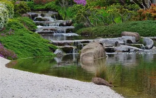 garden pond with stream