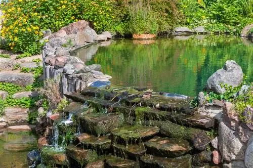 pedres de l'estany del jardí