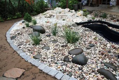 garden pond costs