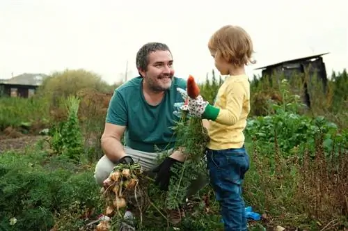 vegetable garden-in-autumn