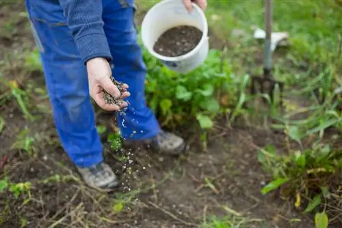 De moestuin bemesten in de herfst: methoden en tips