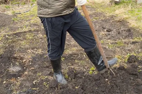 Kalk in de moestuin: functies, voordelen en toepassing