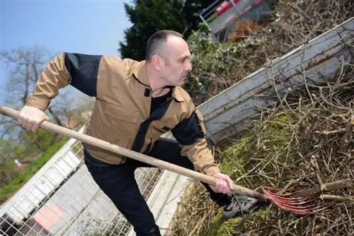 Vegetable garden: Step by step to successful digging