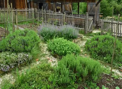 créer un jardin d'herbes aromatiques