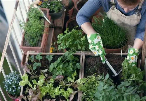 balcone del giardino delle erbe