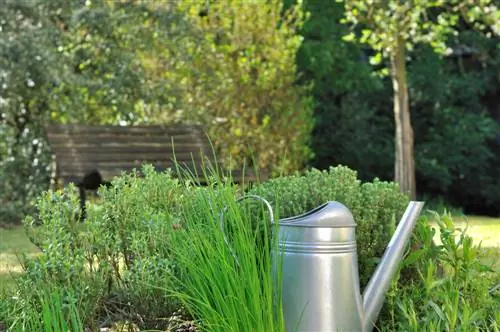 entretien du jardin d'herbes aromatiques