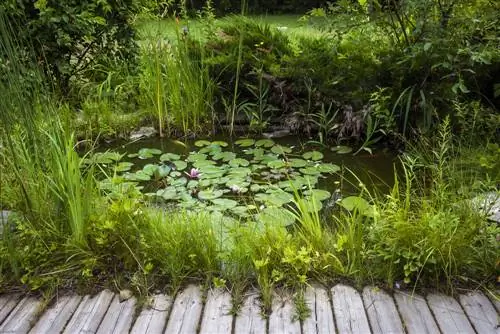 bank planter havedam