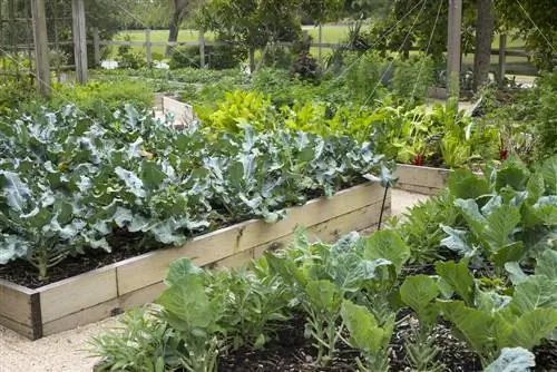 crear un jardín de cabaña