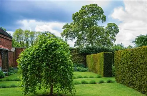 crear un jardí anglès