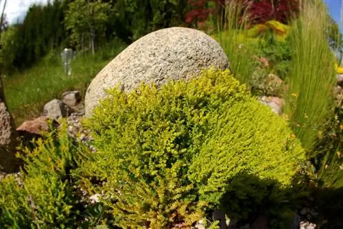 Des accroches monumentales - conseils pour l'aménagement de jardins avec des rochers