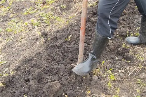 Giardino in primavera: spirito di ottimismo e lavoro importante