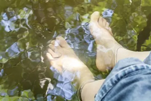 Hanapin ang pinakamagandang lalim para sa iyong swimming pond: Ganito