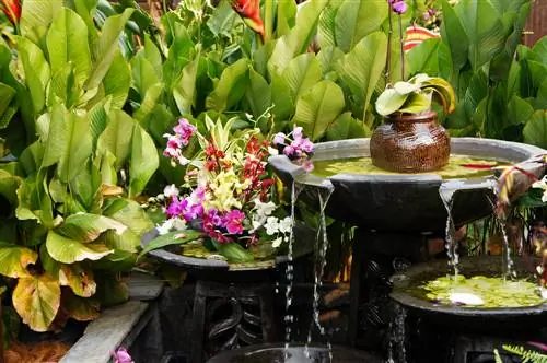 Feng Shui di taman: Cara menciptakan harmoni dan keseimbangan