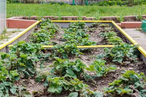 raised bed metal