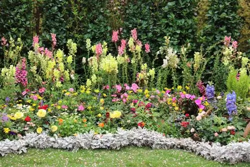 fleurs de jardin de ferme vivaces