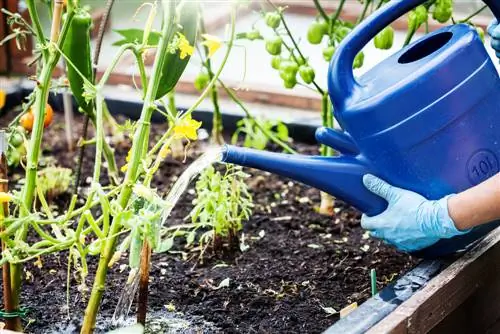 fertilizantes para camas elevadas