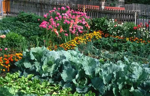 tuinplannen voor huisjes