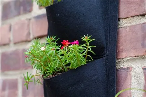 vertikale-tuin-balkon