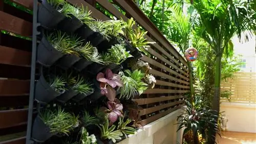 crear jardines verticales