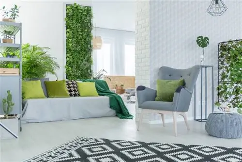 Improve the indoor climate: Vertical garden in the apartment