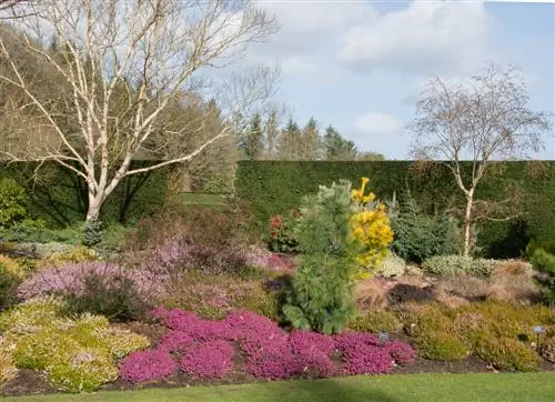 Création d'un jardin de bruyère