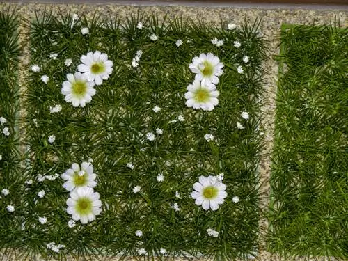 Artificial grass in the garden: Is it the right choice for you?