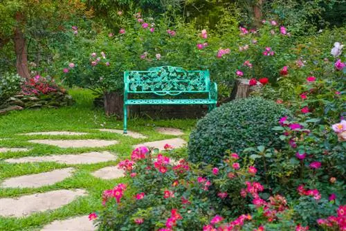 Romantik bir bağı necə tərtib etmək olar - çiçək bolluğu üçün fikirlər