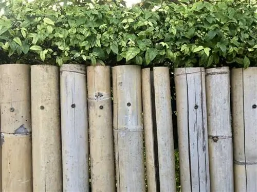 Bouw je eigen privacyscherm voor de tuin: materialen en instructies