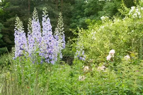 Het aanleggen van een meerjarige tuin