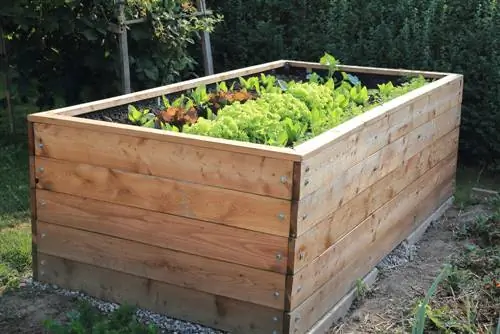 Planten in een verhoogd bed in juli: tips voor een overvloedige oogst