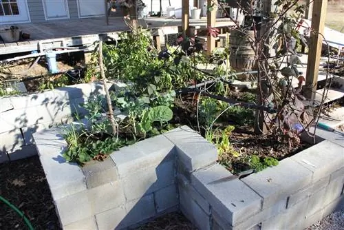 raised bed concrete