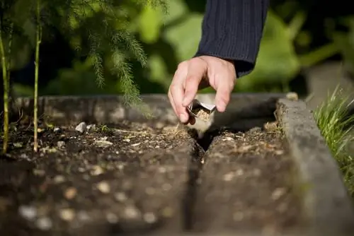 raised bed height