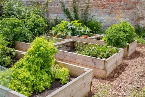 Integrate raised beds in the garden