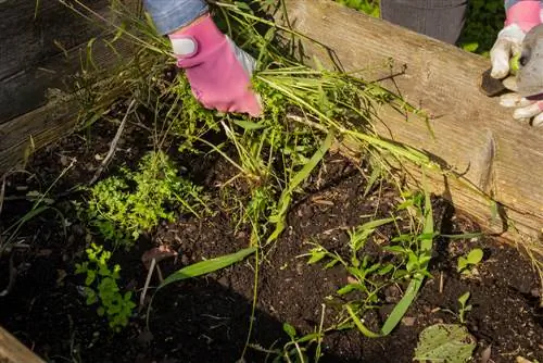 raised bed-in-autumn