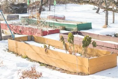 raised bed-in-winter