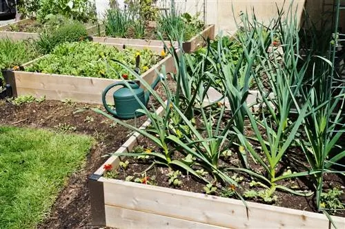 raised bed-low