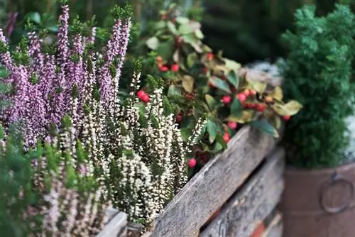 Jardineras de balcón resistentes a las plantas: estos son los imprescindibles