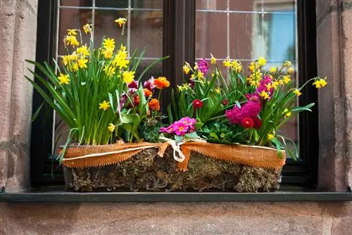 Piantare fioriere sul balcone in primavera: bellissime idee per le piante