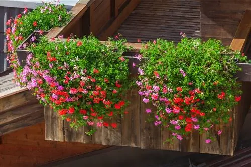 Costruisci la tua staffa per box da balcone