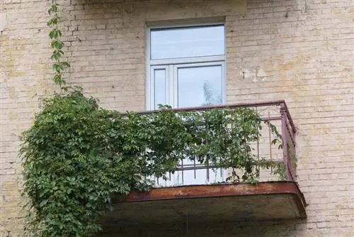 Balkon kutusu tesisi gizlilik ekranı