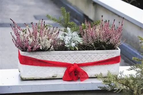 caja de flores decoración invierno