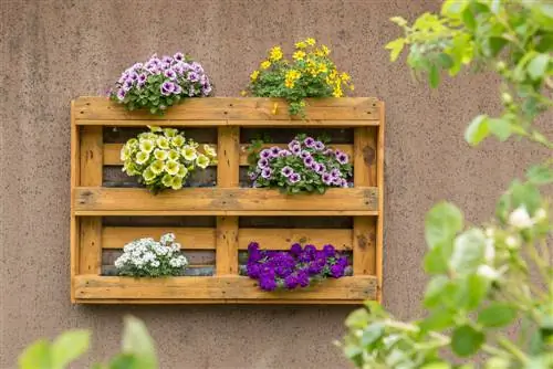 Bloembak van pallets: creatieve ideeën voor het balkon